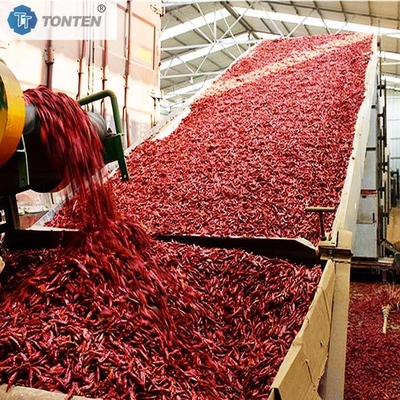 Suchacz pasów Maszyna Pepper Chili Chrysanthemum Suchacz pasów Odwodnienie